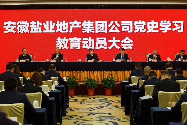 安徽304am永利集团地产集团公司召开党史进建教育带头大会