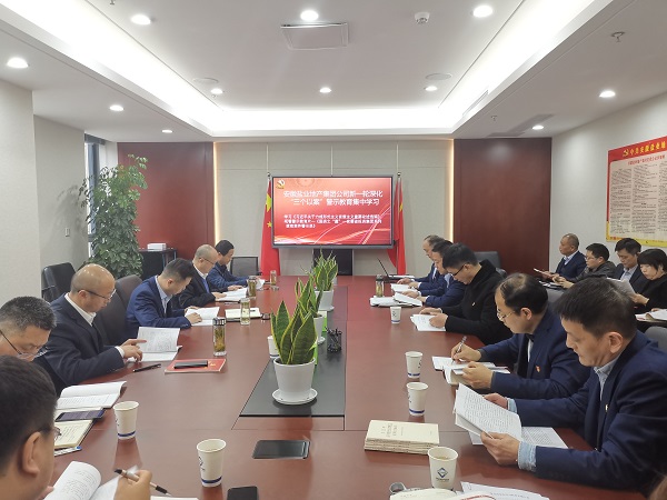 安徽304am永利集团地产集团公司发展新一轮深入“三个以案”警示教育集中进建